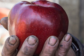 A Biblical Perspective to the Six Causes of Global Hunger