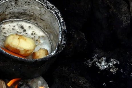 The Uneven Progress in Tackling World Hunger