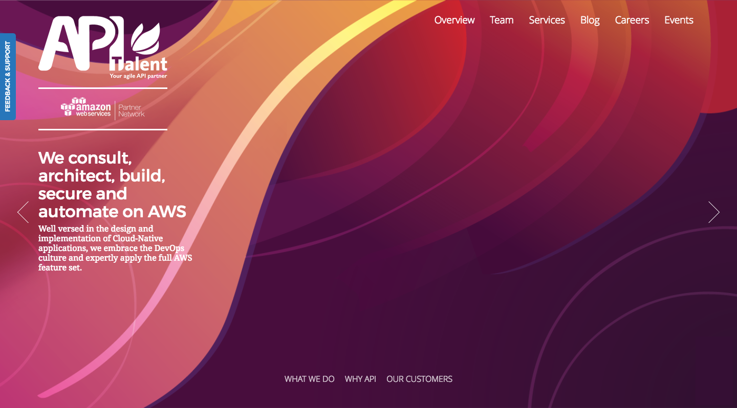 apit-web-portfolio-1.png