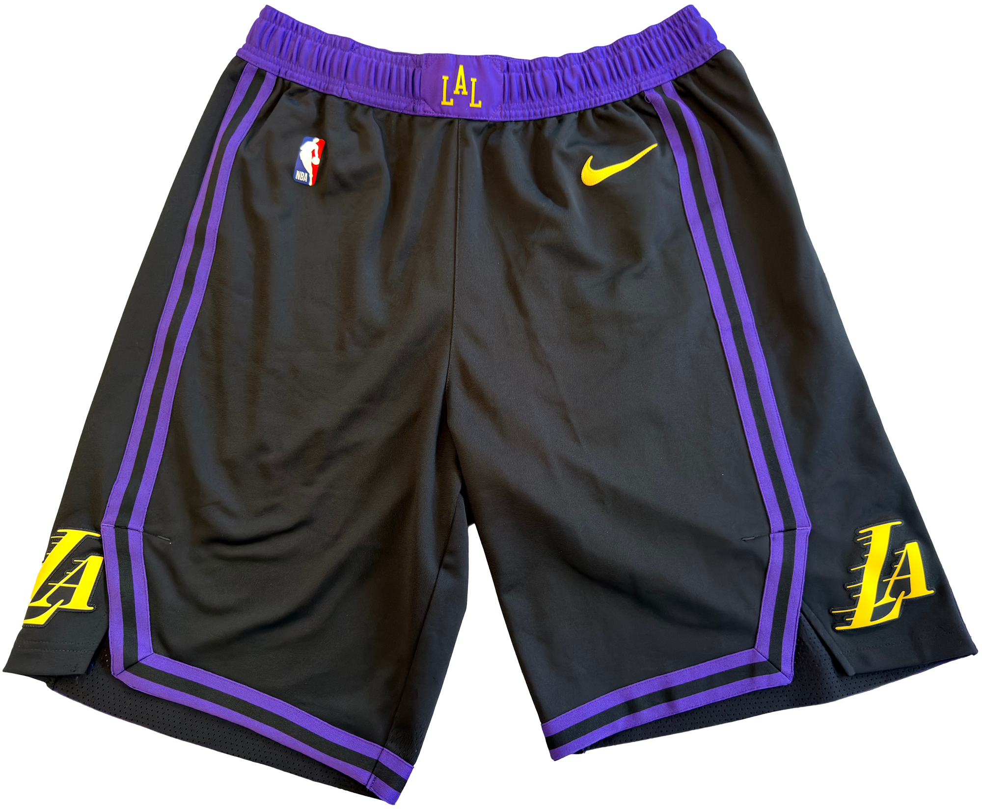 LeBron James Shorts