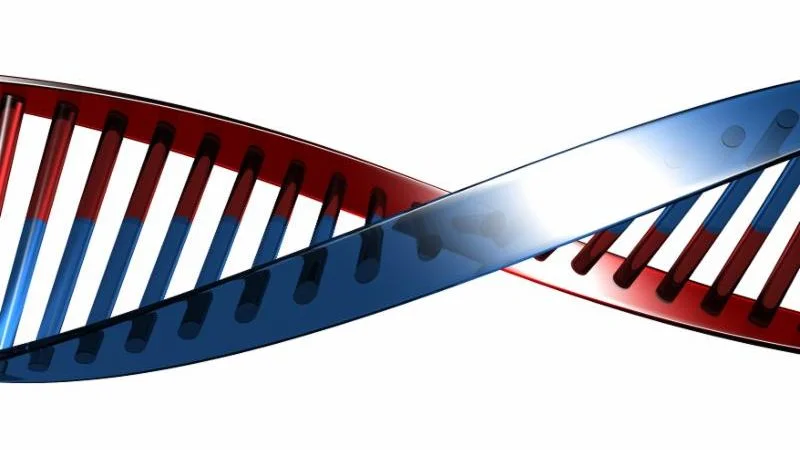 dna-3-1163478.jpg