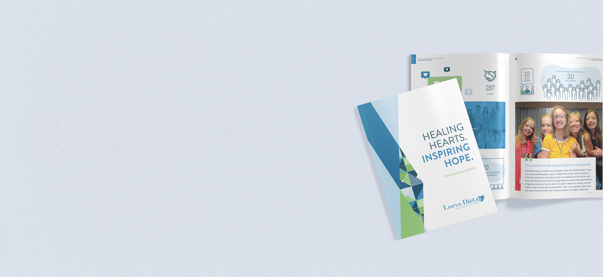 LDSF_Annual-Report-Mockup.jpg