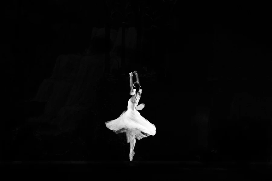 CNB - Companhia Nacional de Bailado | Lisbon