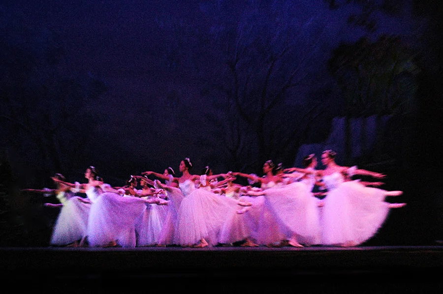 CNB - Companhia Nacional de Bailado | Lisbon