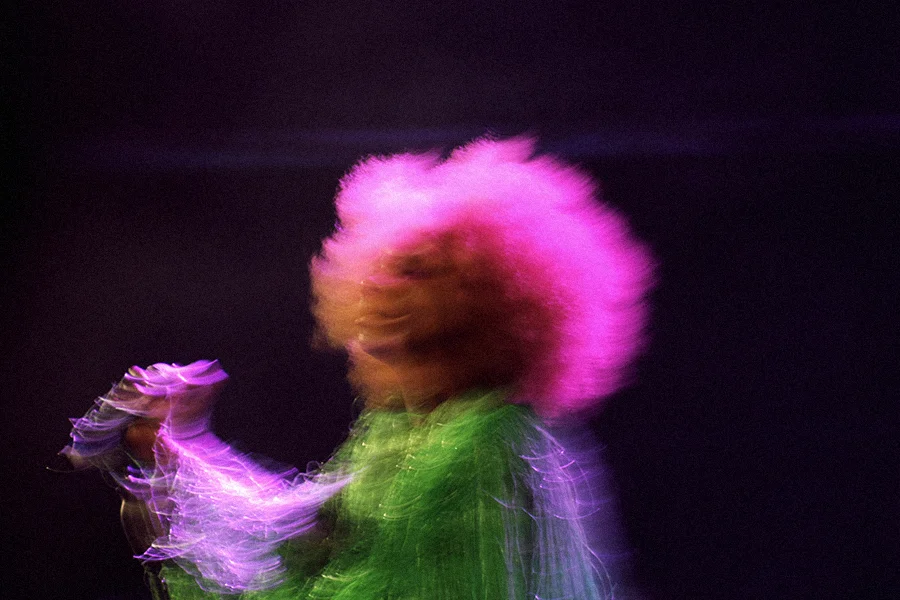 Ebony BONES
