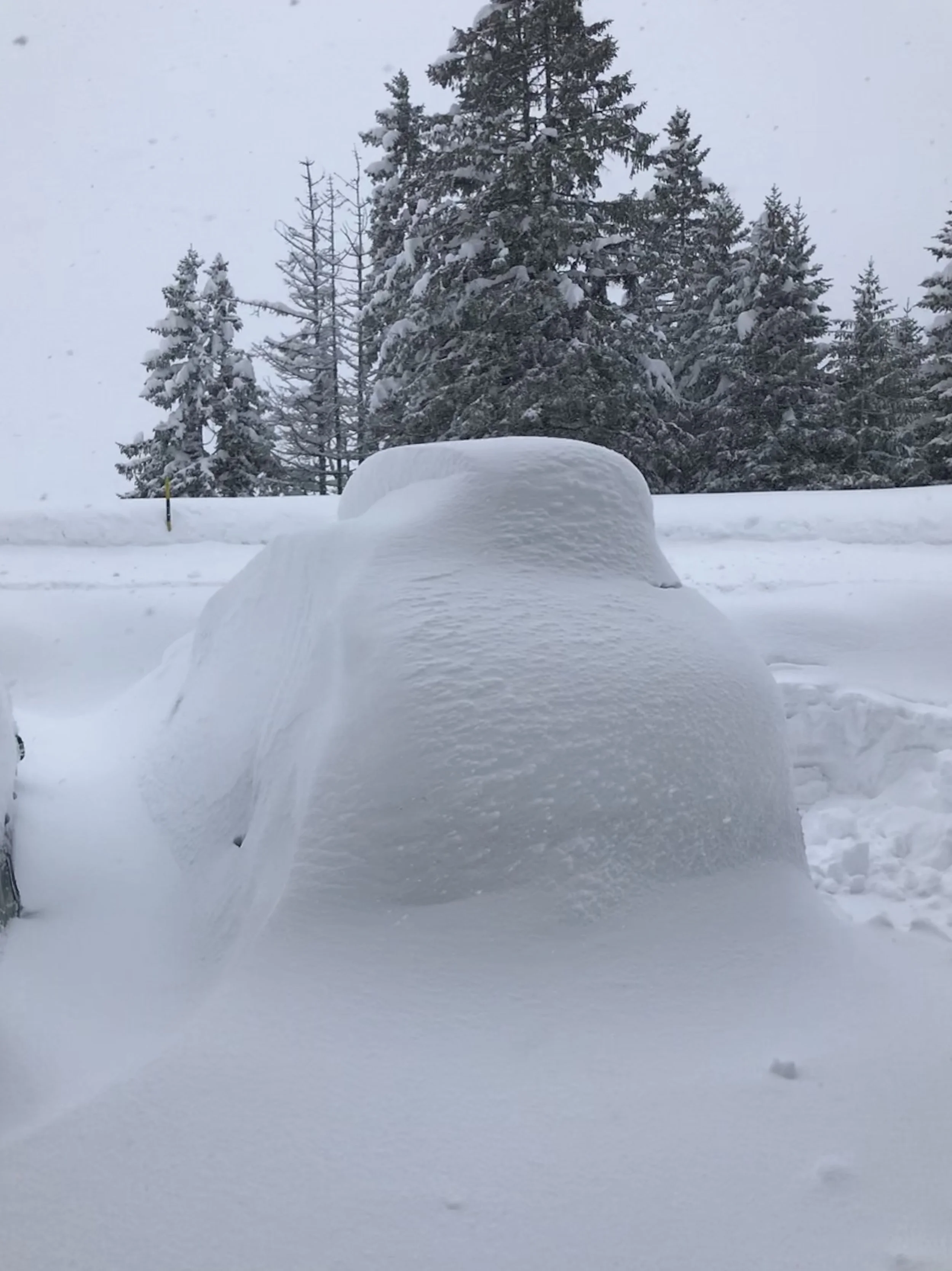 Schneefall vom Freitagabend bis Sonntagnachmittag (Foto ©Tom Pellny)