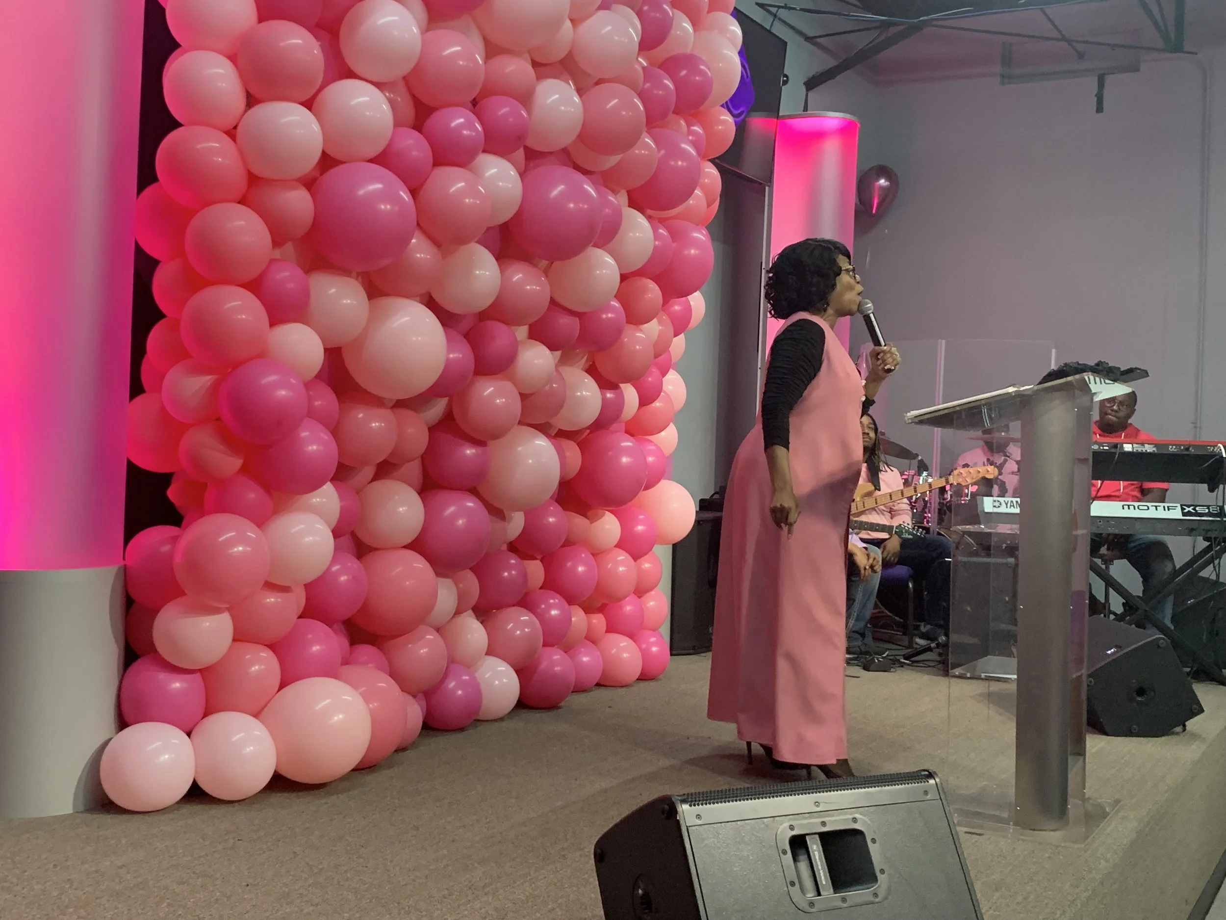 Unity-Pink2.jpeg