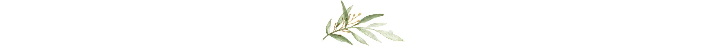 Icon5.jpg