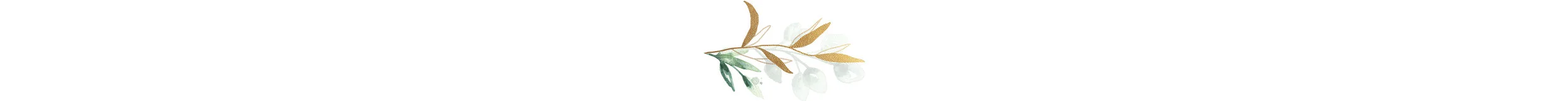icon1.jpg