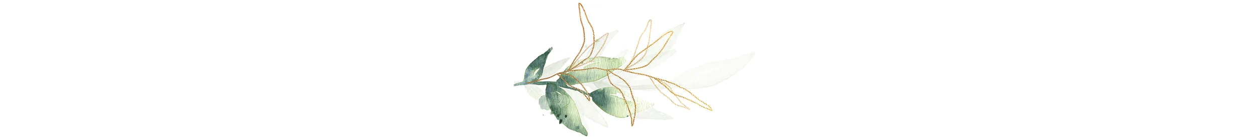 icon1.jpg