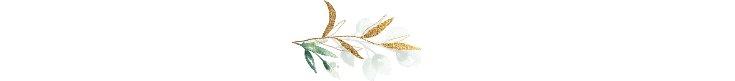 icon1.jpg