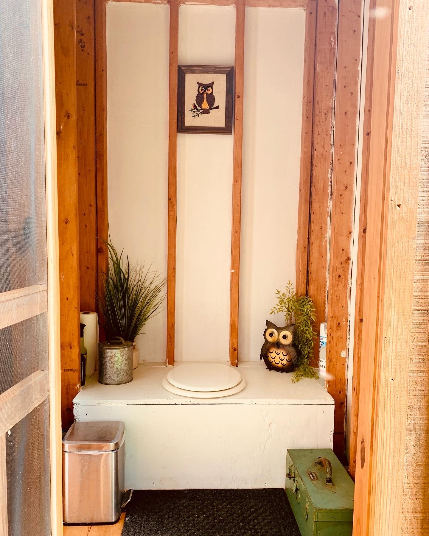 Outhouse inside new.JPG