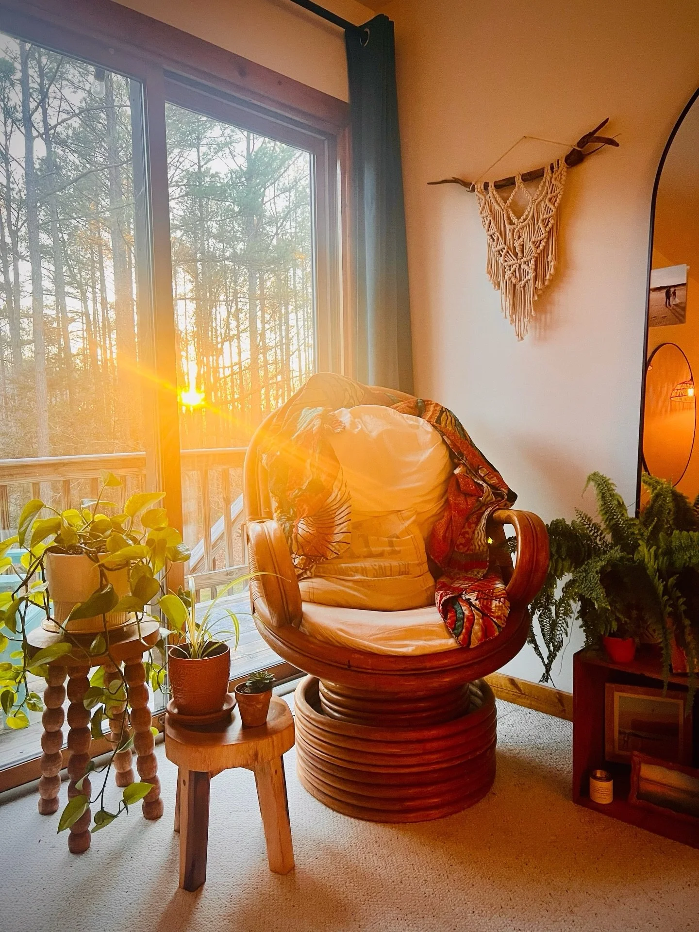 We did it y&rsquo;all, we made it through February! 🙌  Happy March! 

Today is just a one photo post because we are busy busy bees here at Tiny Haven. We worked every day this last month because we now are not only finishing &ldquo;Sol&rdquo; the Ai