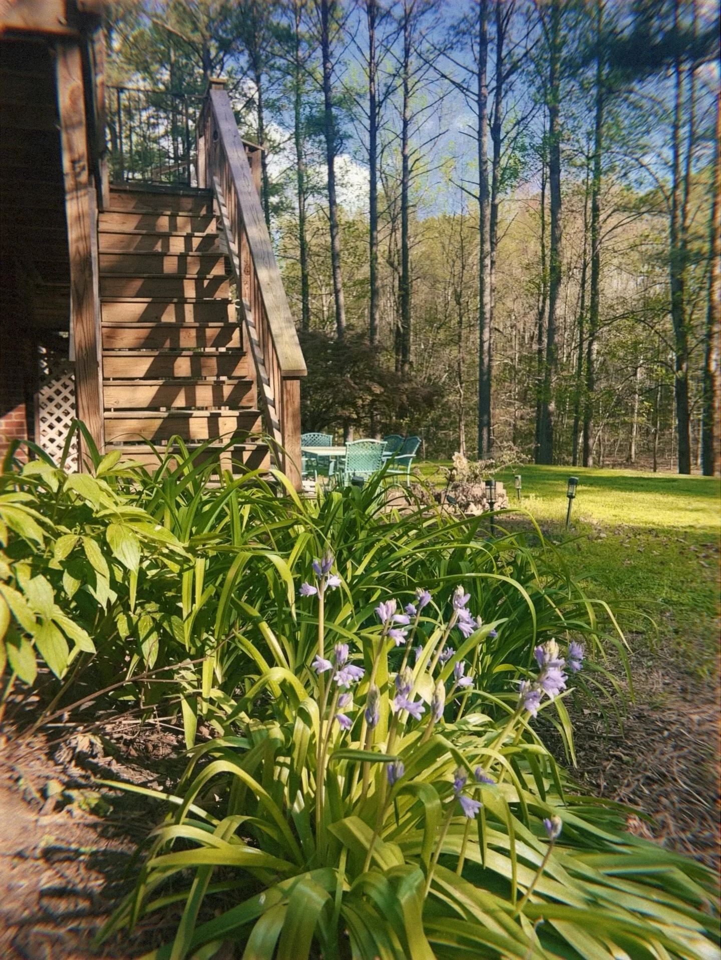 Spring is really magical around here at Reverie and Tiny Haven. While we have been really busy lately, it&rsquo;s so great to be able to walk around the property or even to and from the workshop and take in all the nature coming awake. We&rsquo;ve al