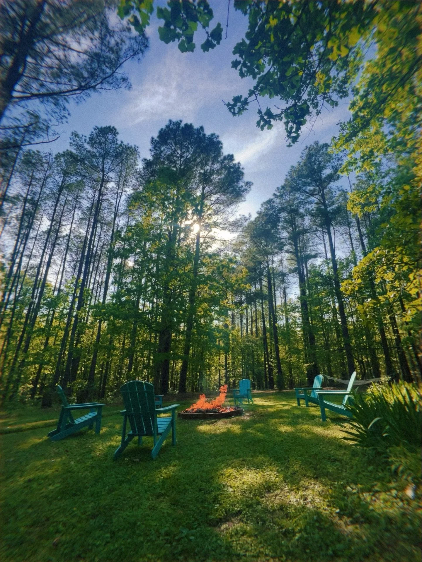 Fridays are for burning your scrap pile 🔥 

#tgif #fridayview #builderlife #campfiremagic #tinyhavenliving