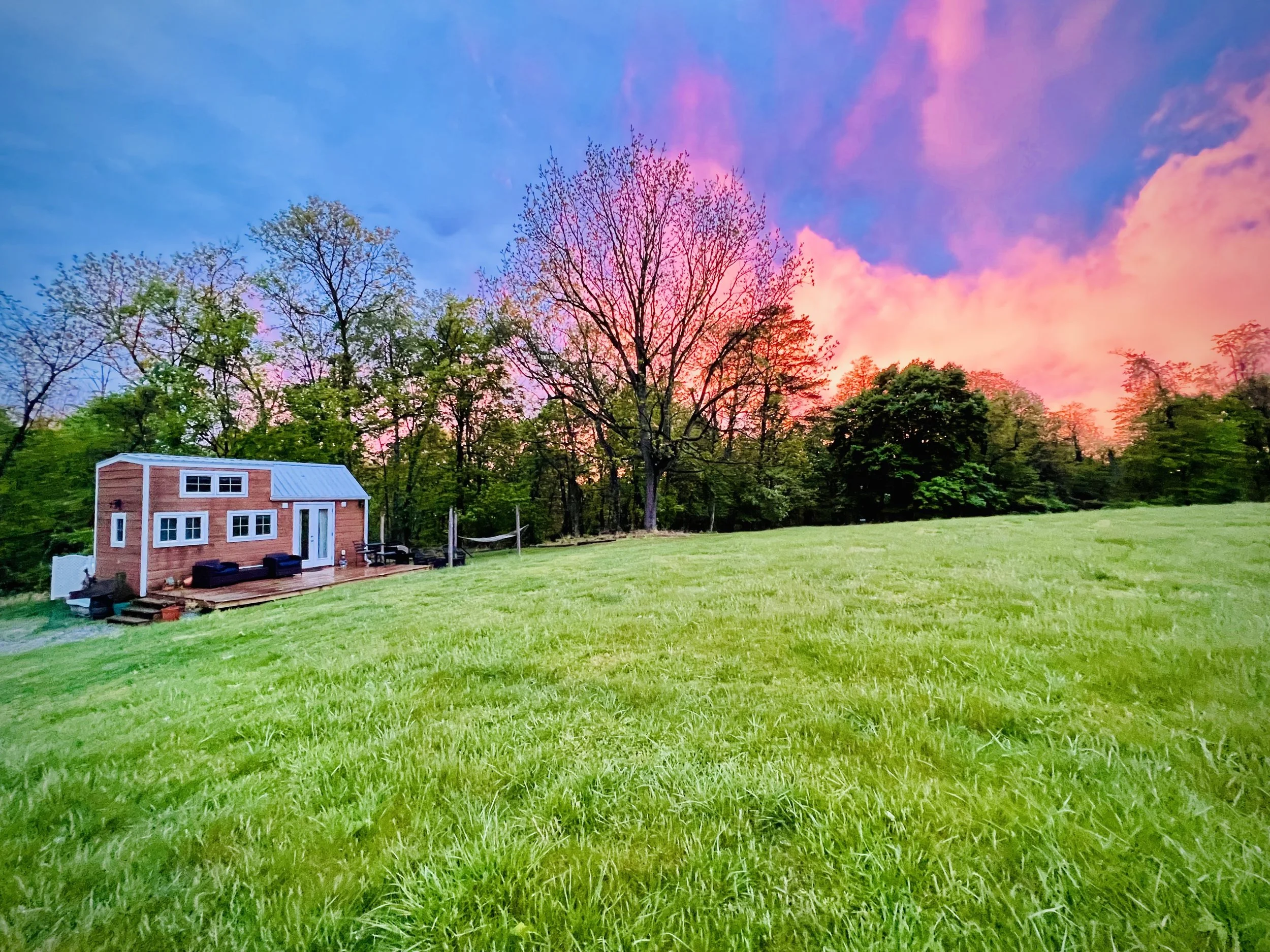 Ginger spring sunset wide angle.jpg