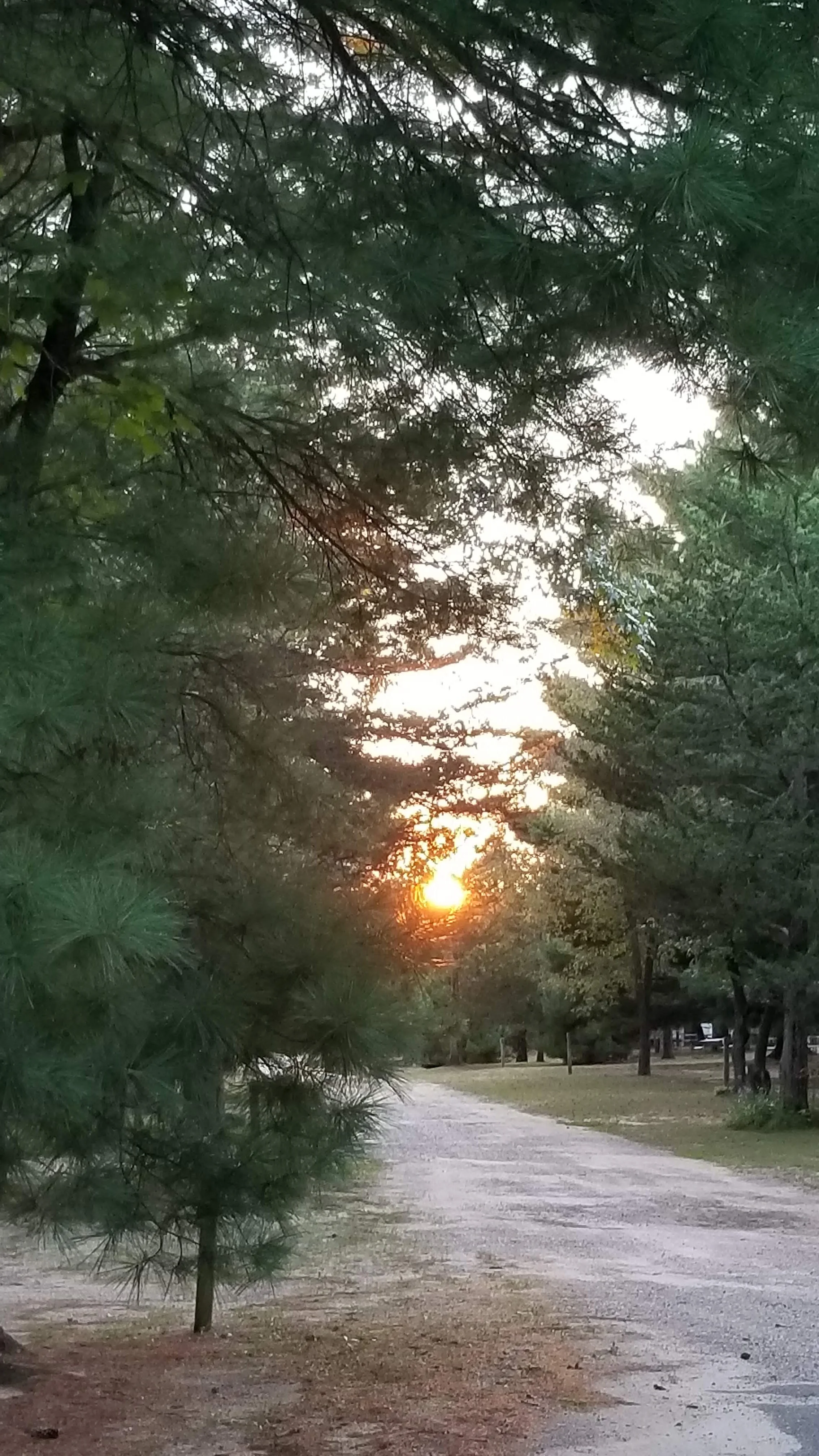 20180910_190516.jpg