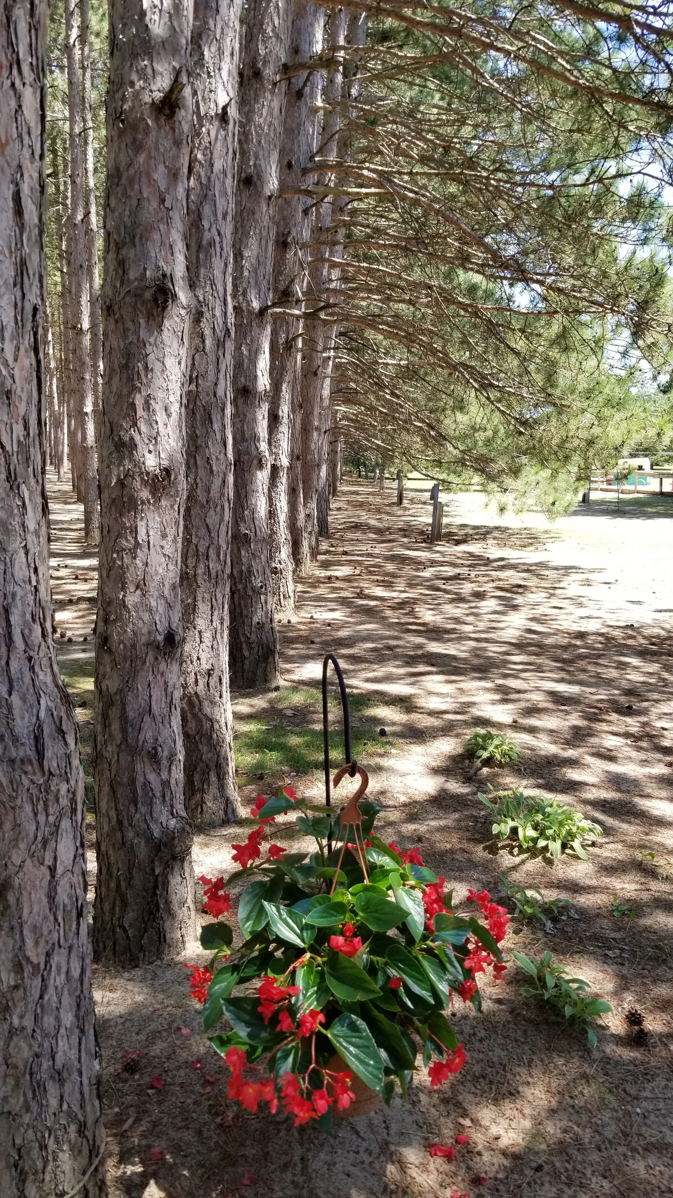 20180708_132315.jpg