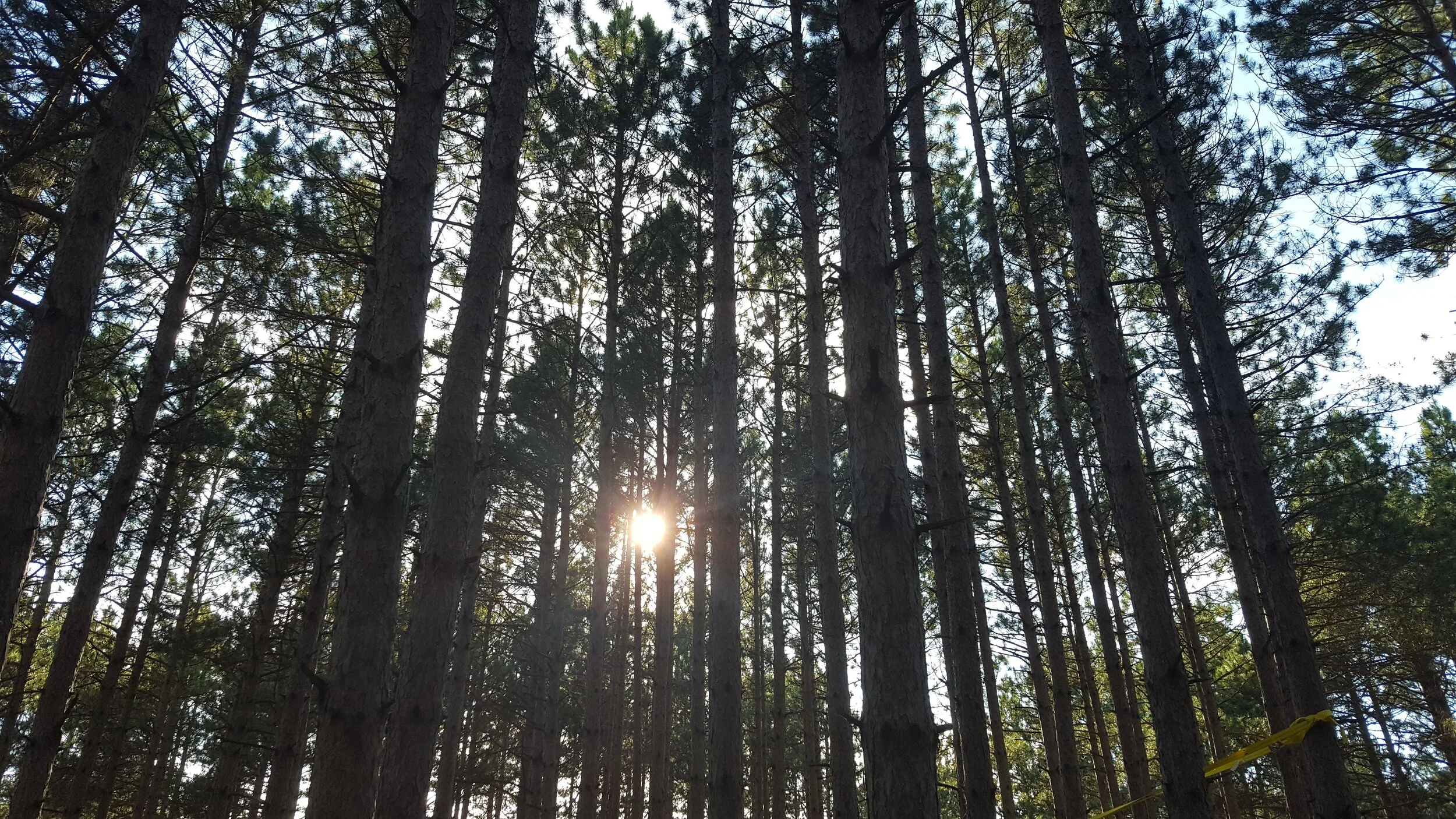 20190620_180830 - Copy.jpg