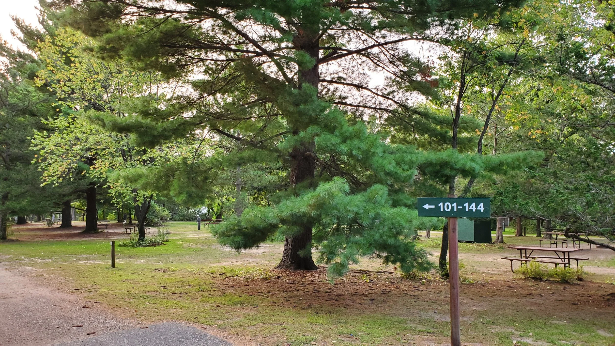 20200914_181508.jpg