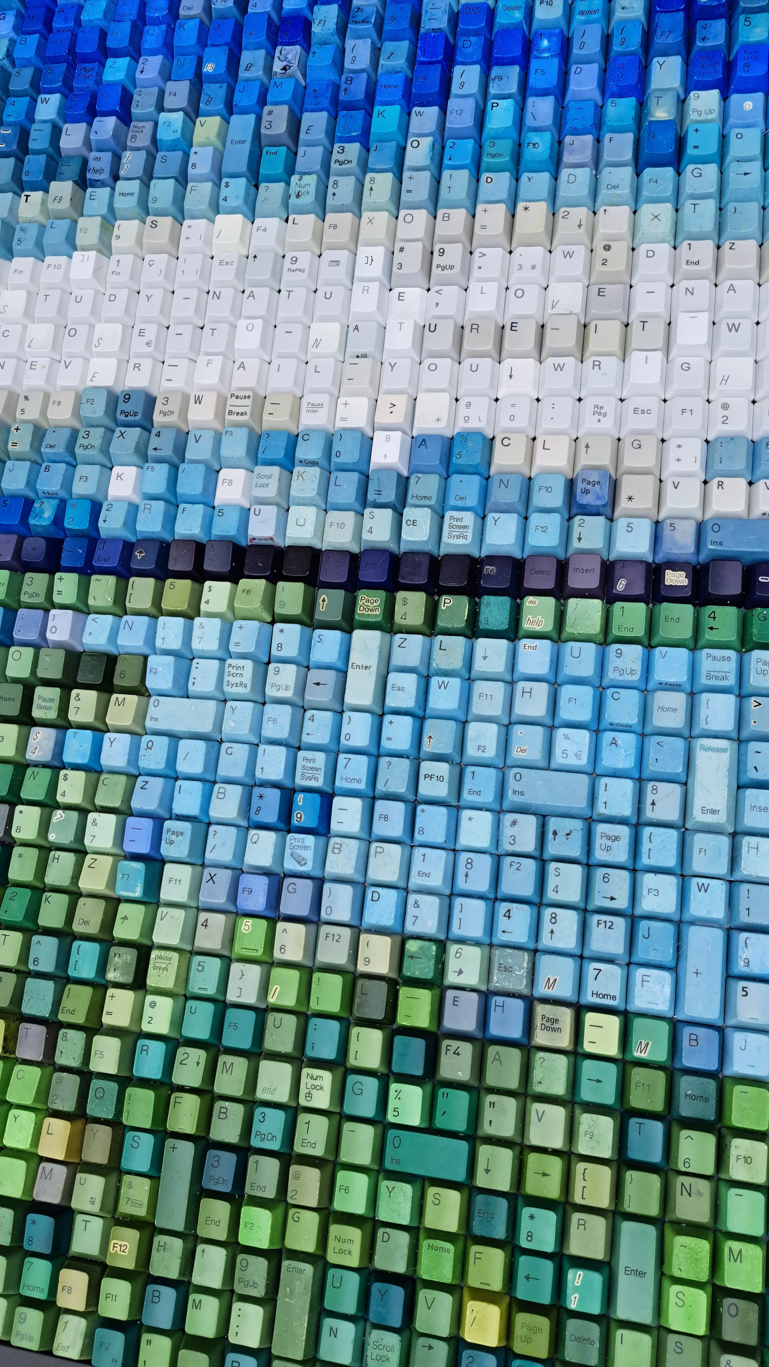 lake close up.jpg