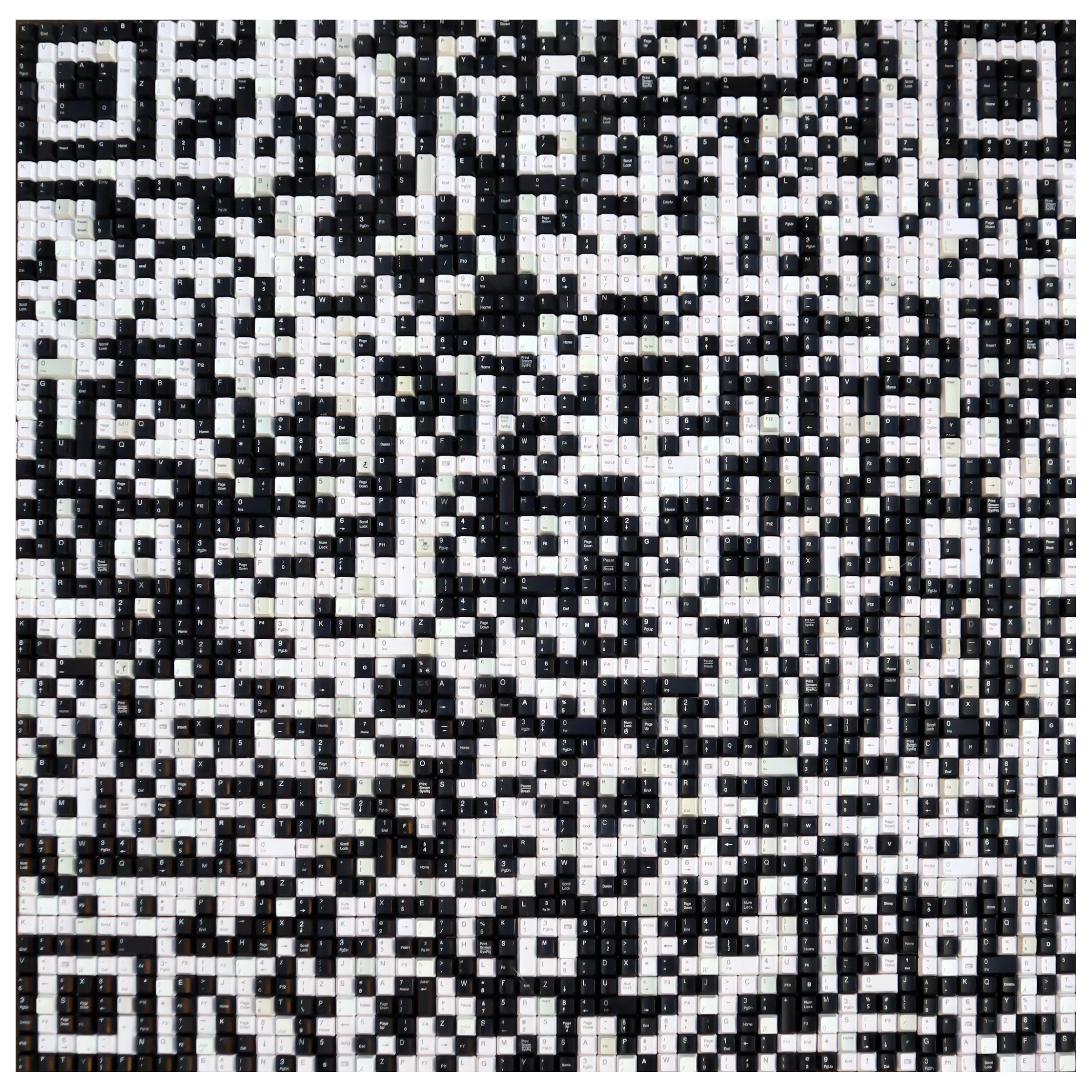 kilo with whit e frame edit.jpg