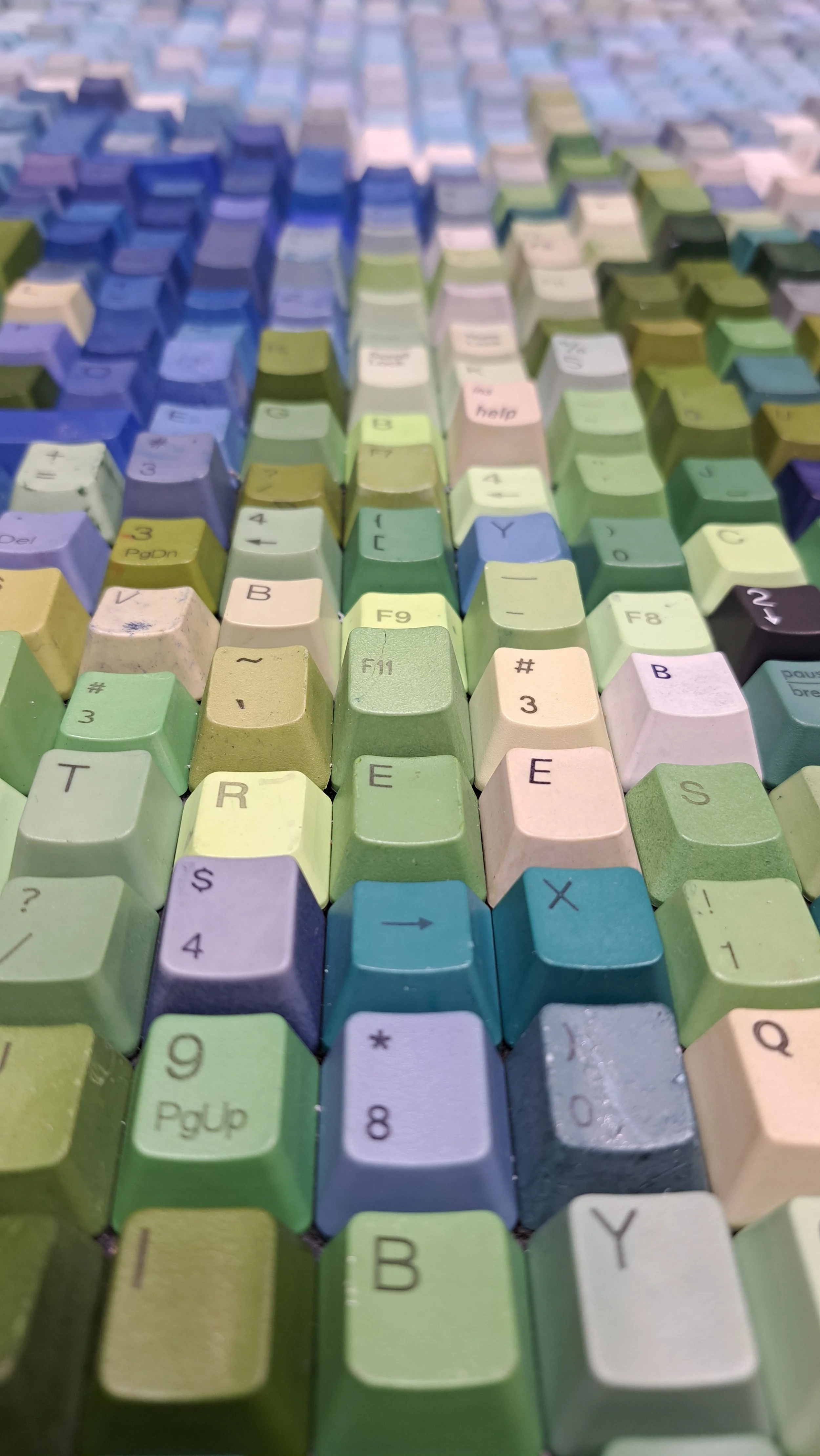 mountain trees 2.jpg