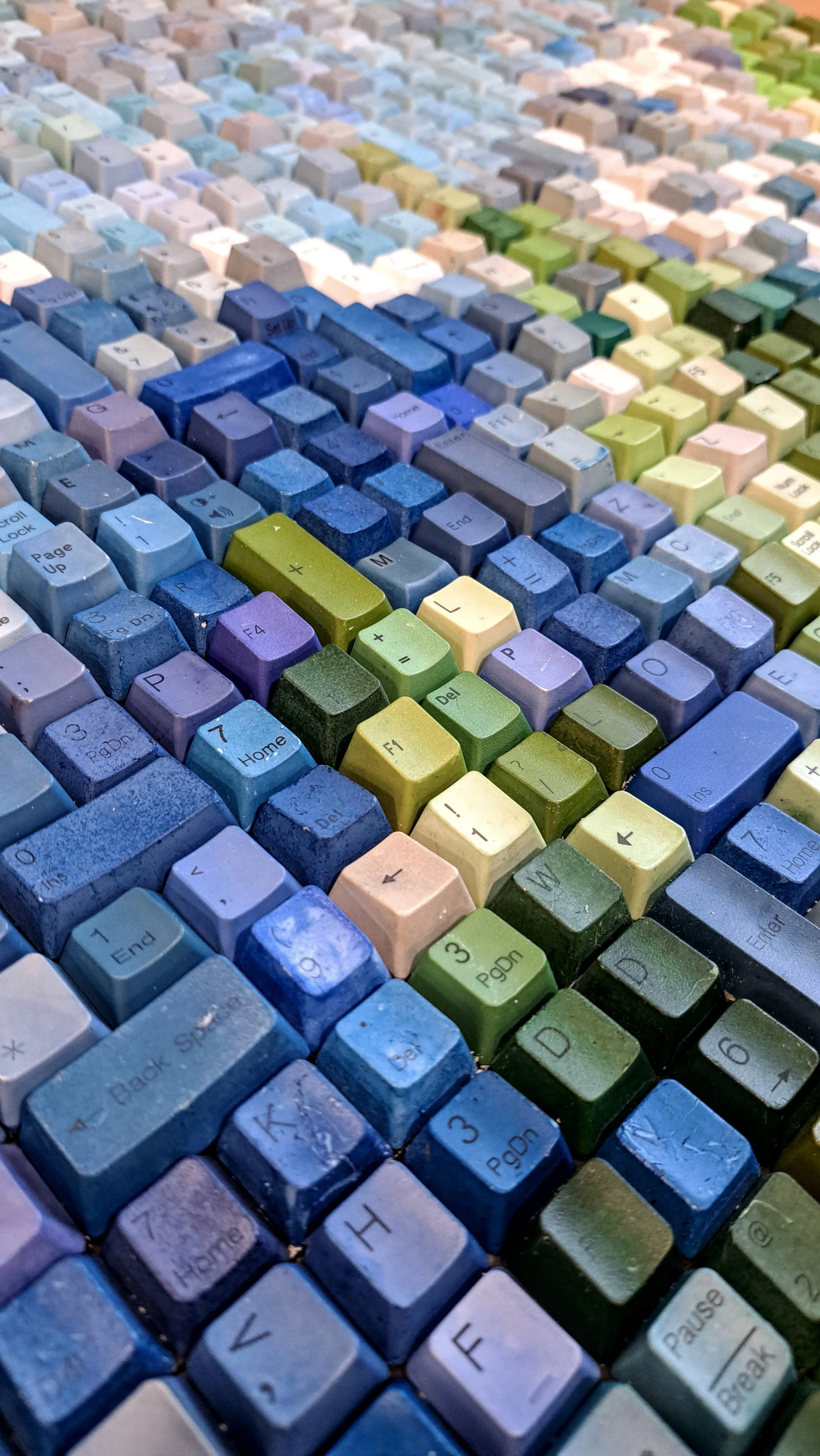 mountain trees 3.jpg