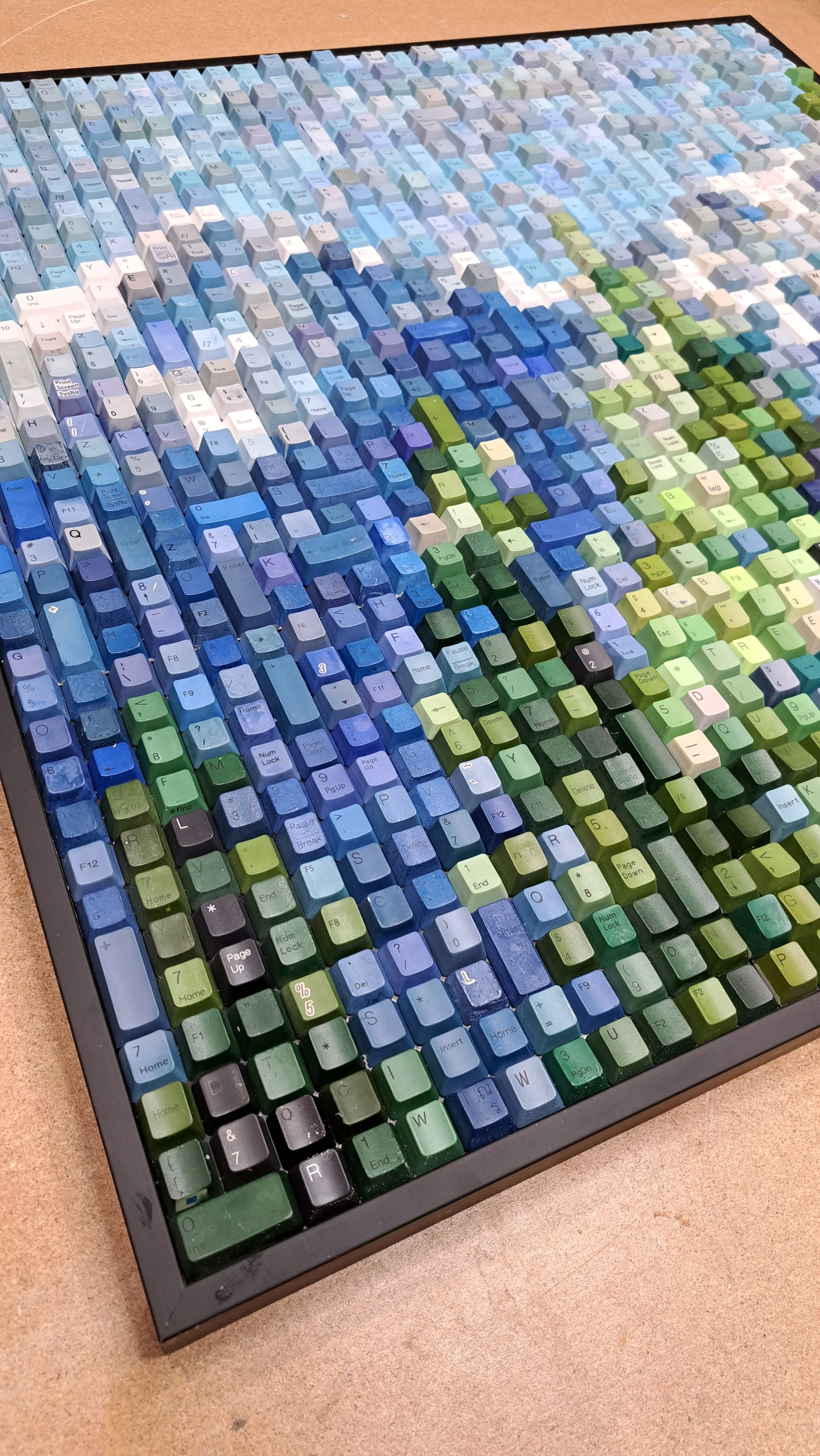 mountain trees 1.jpg