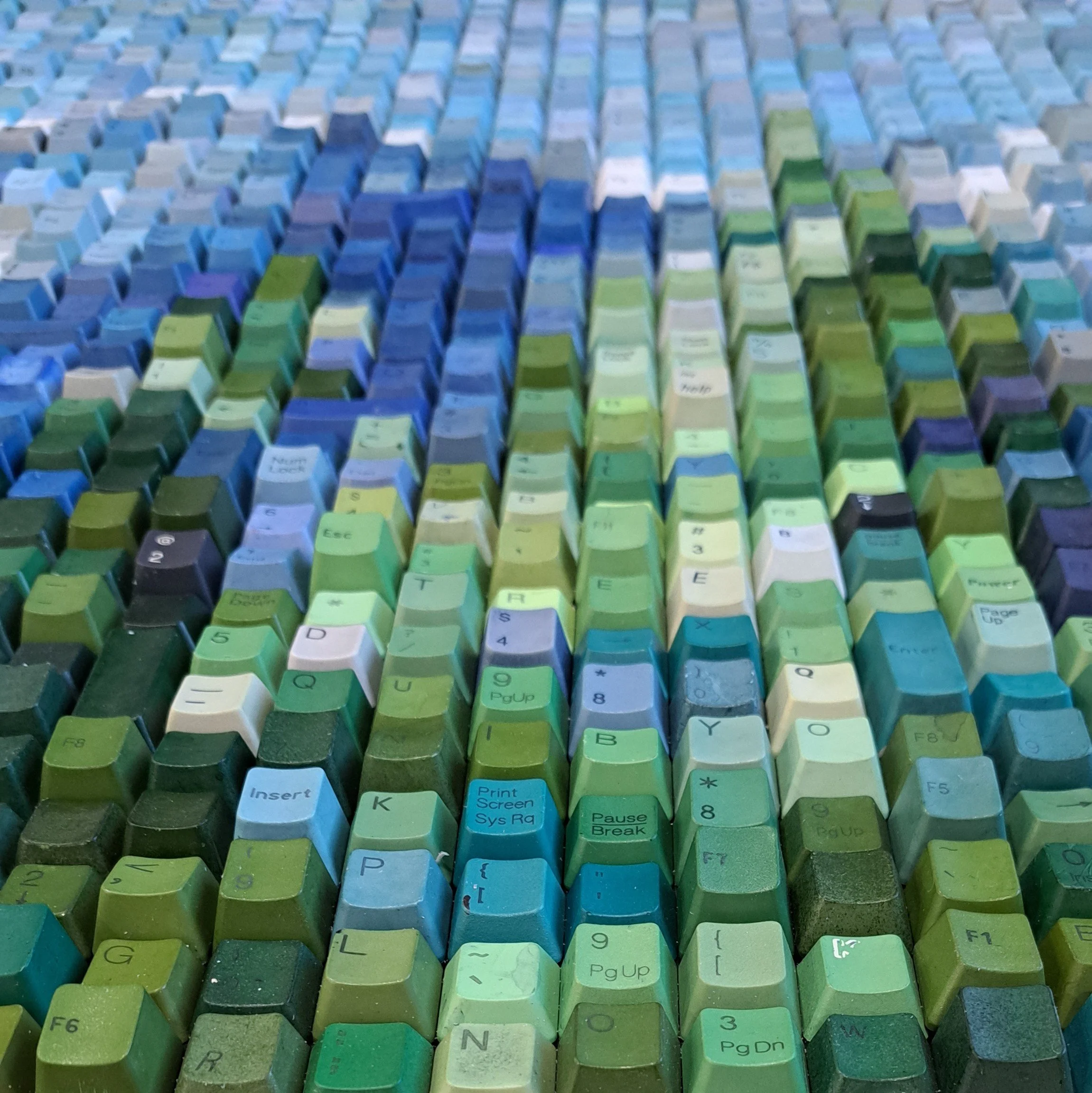 mountain trees 6.jpg