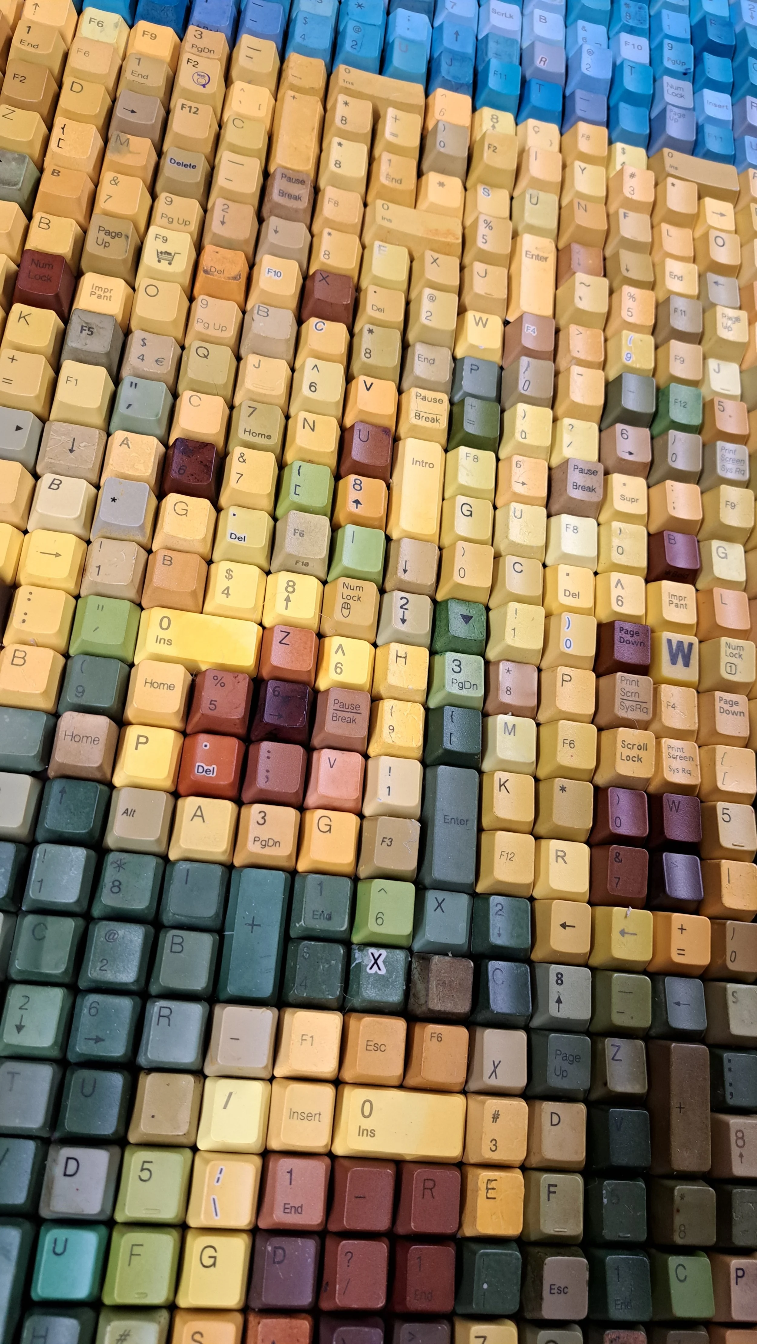 20240405_114247.jpg