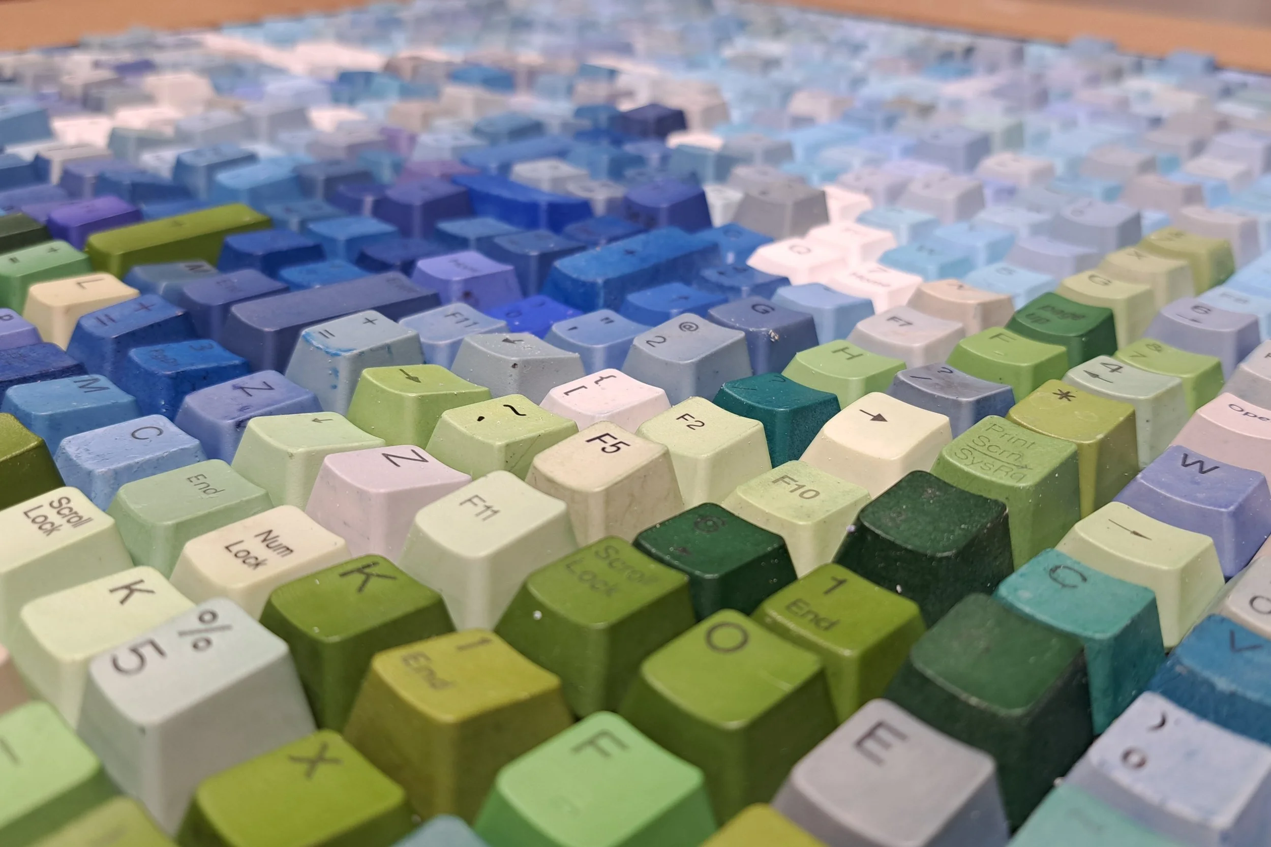 mountain trees 4.jpg