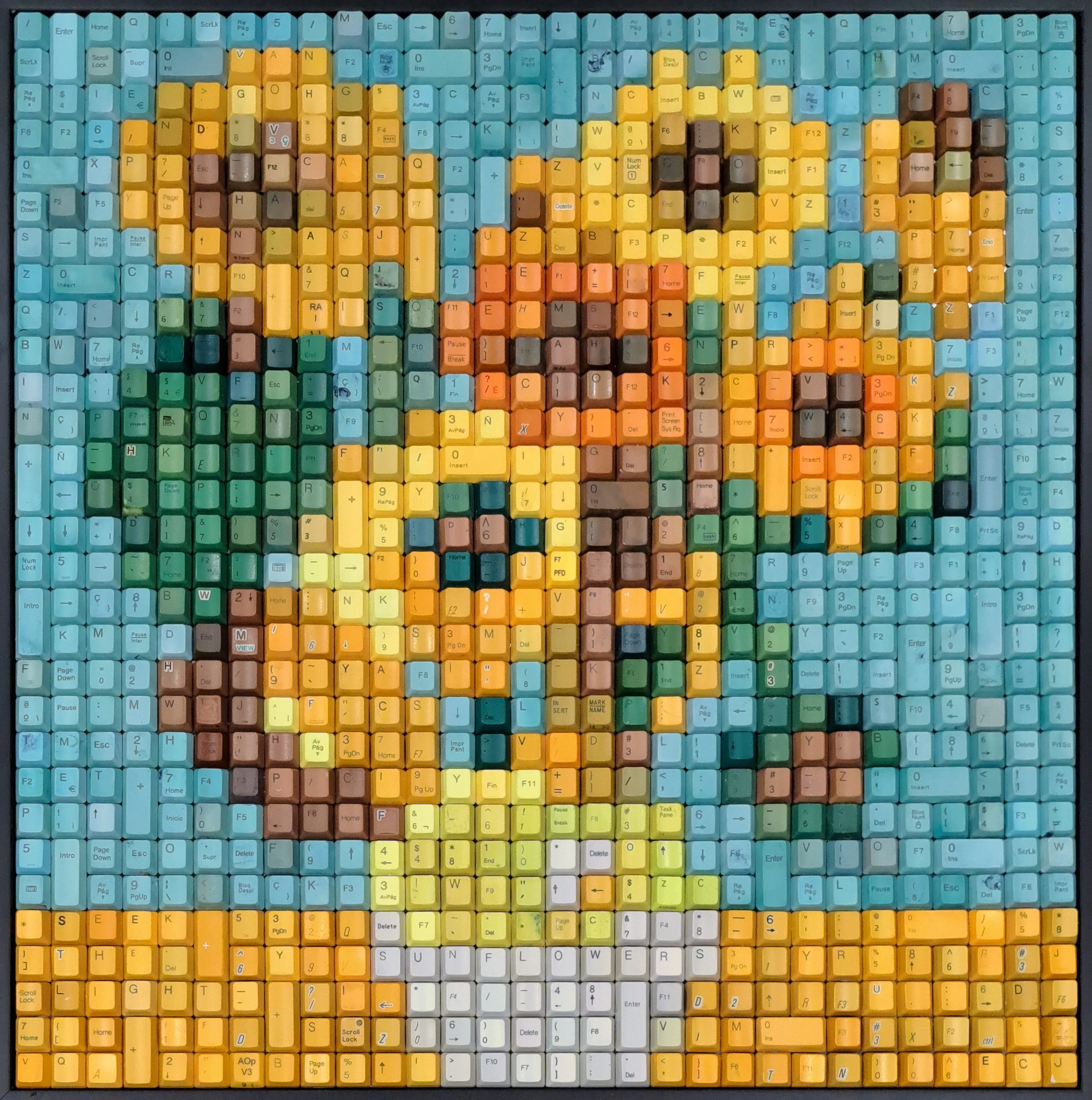 Sunflower_loRes.jpg.jpg
