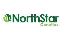 northstar-logo.jpg