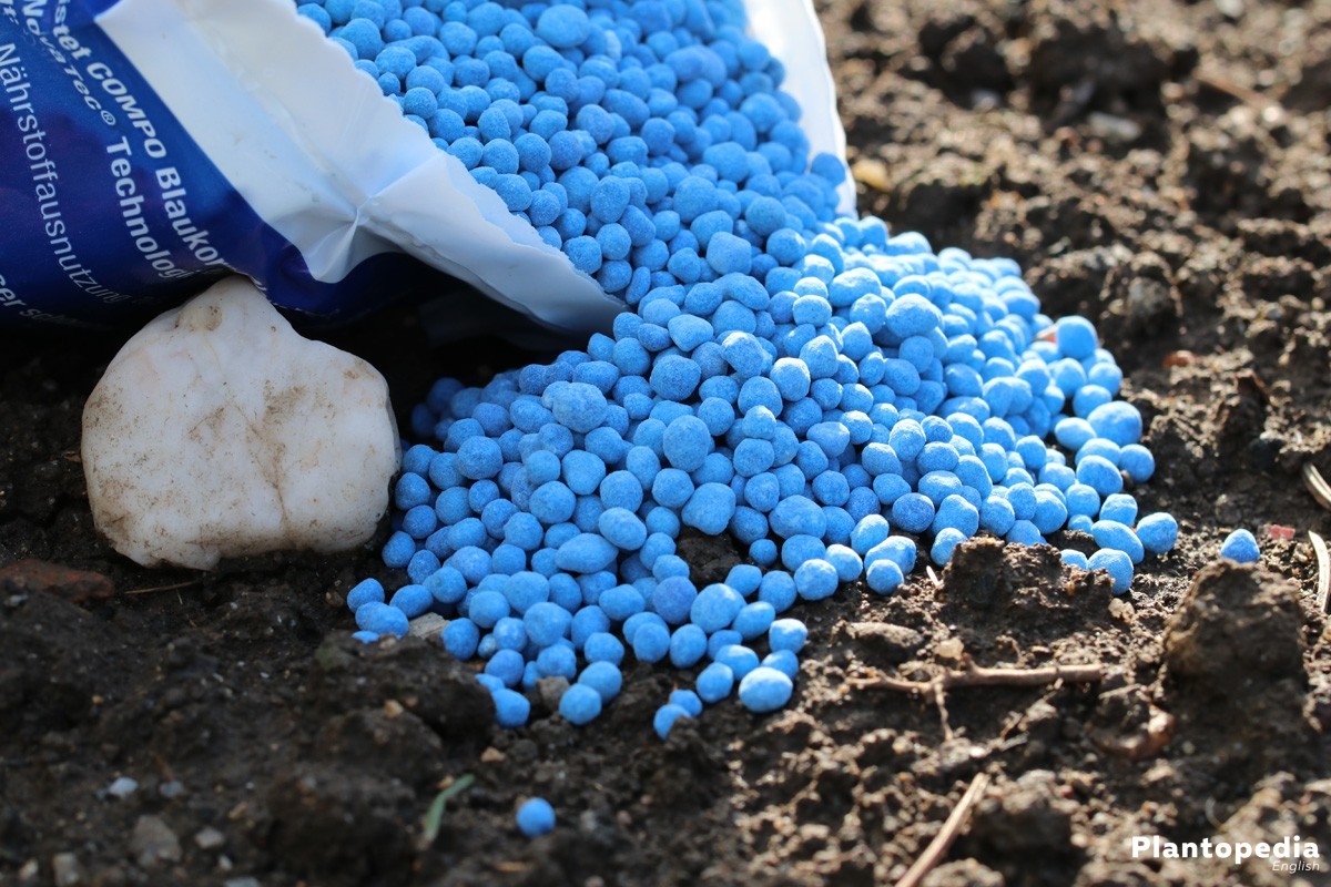fertilizer.jpg