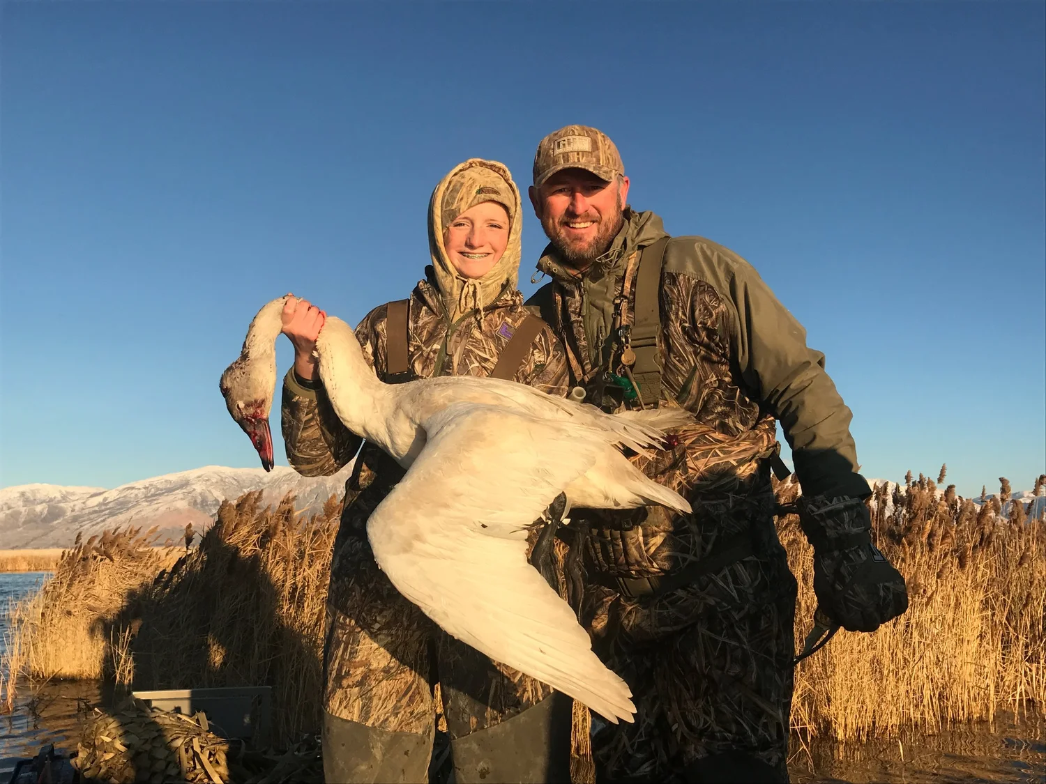 About Us Fried Feathers