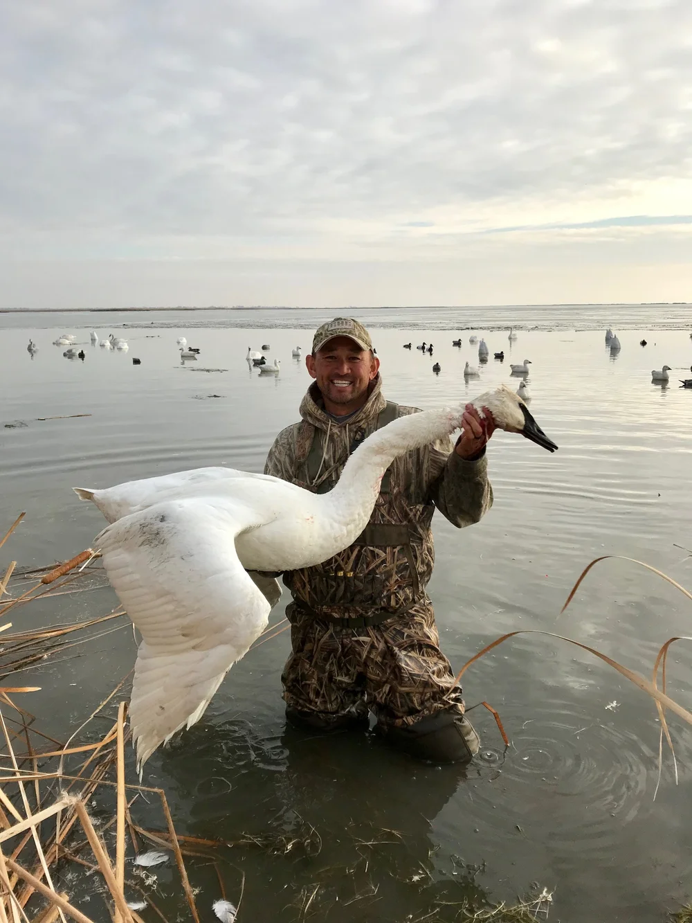 About Us Fried Feathers