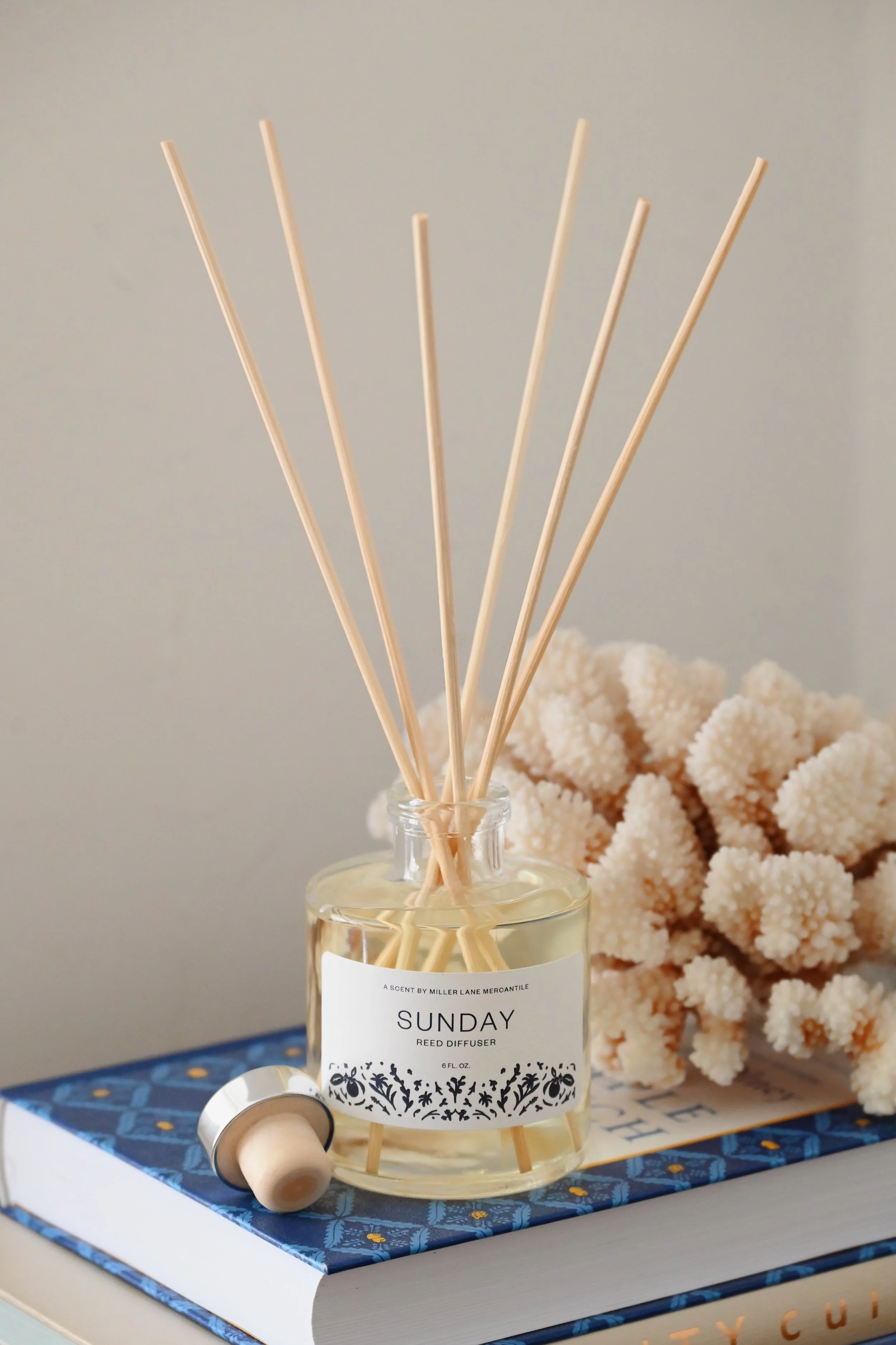 Sunday Reed Diffuser 01.JPG