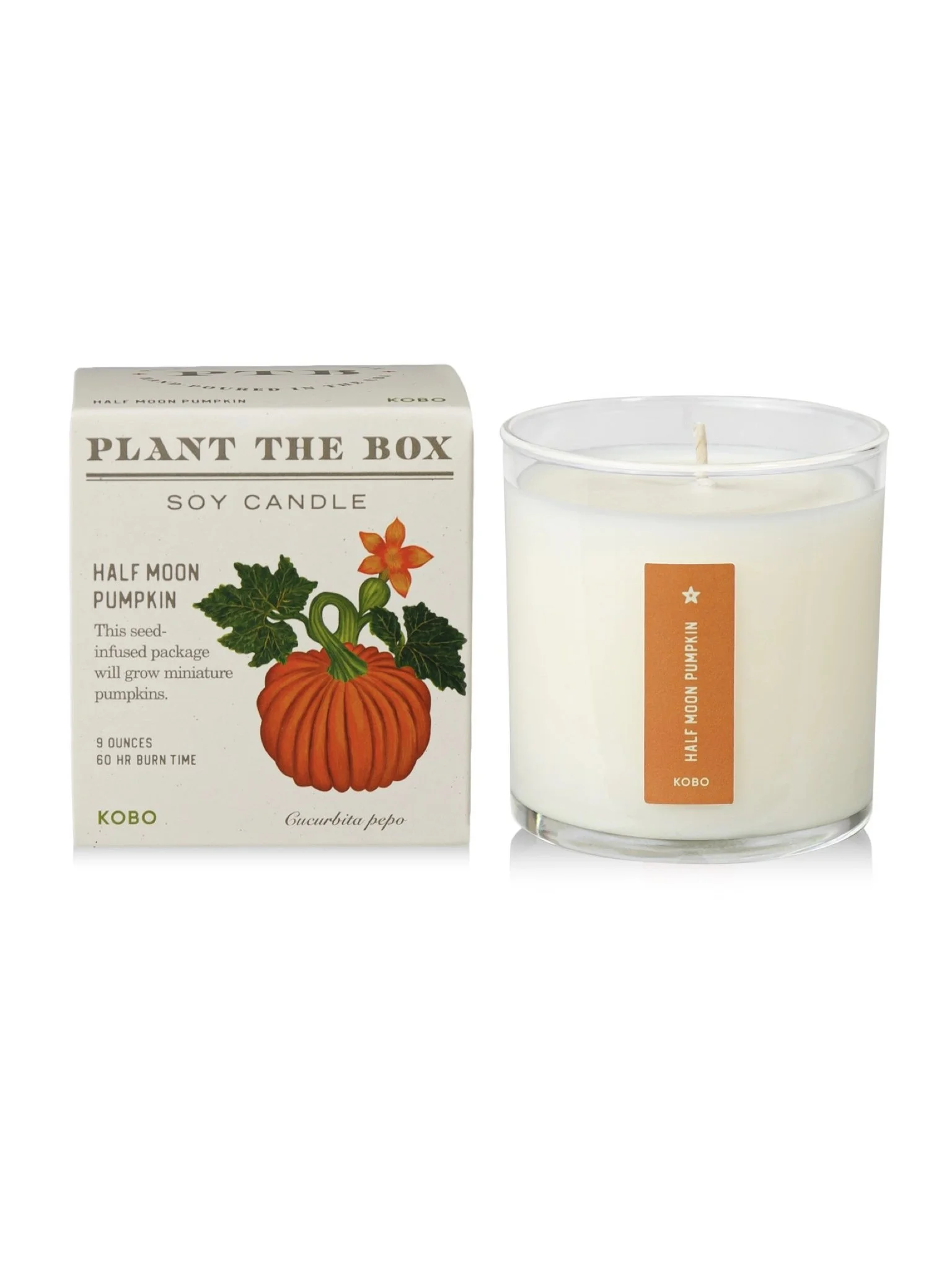 KOBO Half Moon Pumpkin Candle.001.jpeg