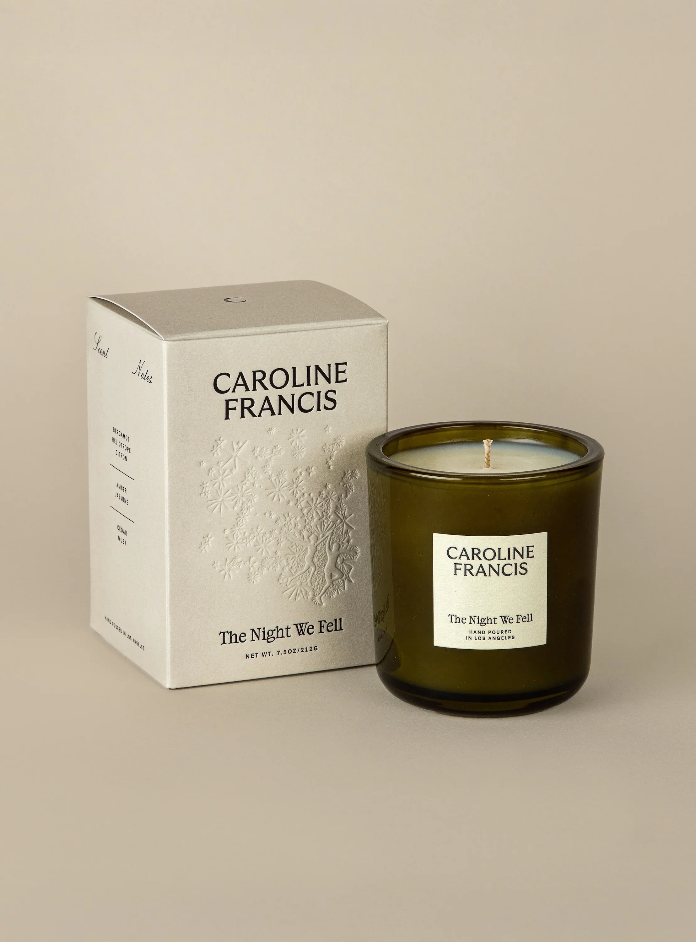 Caroline Franics The Night We Fell 01.webp