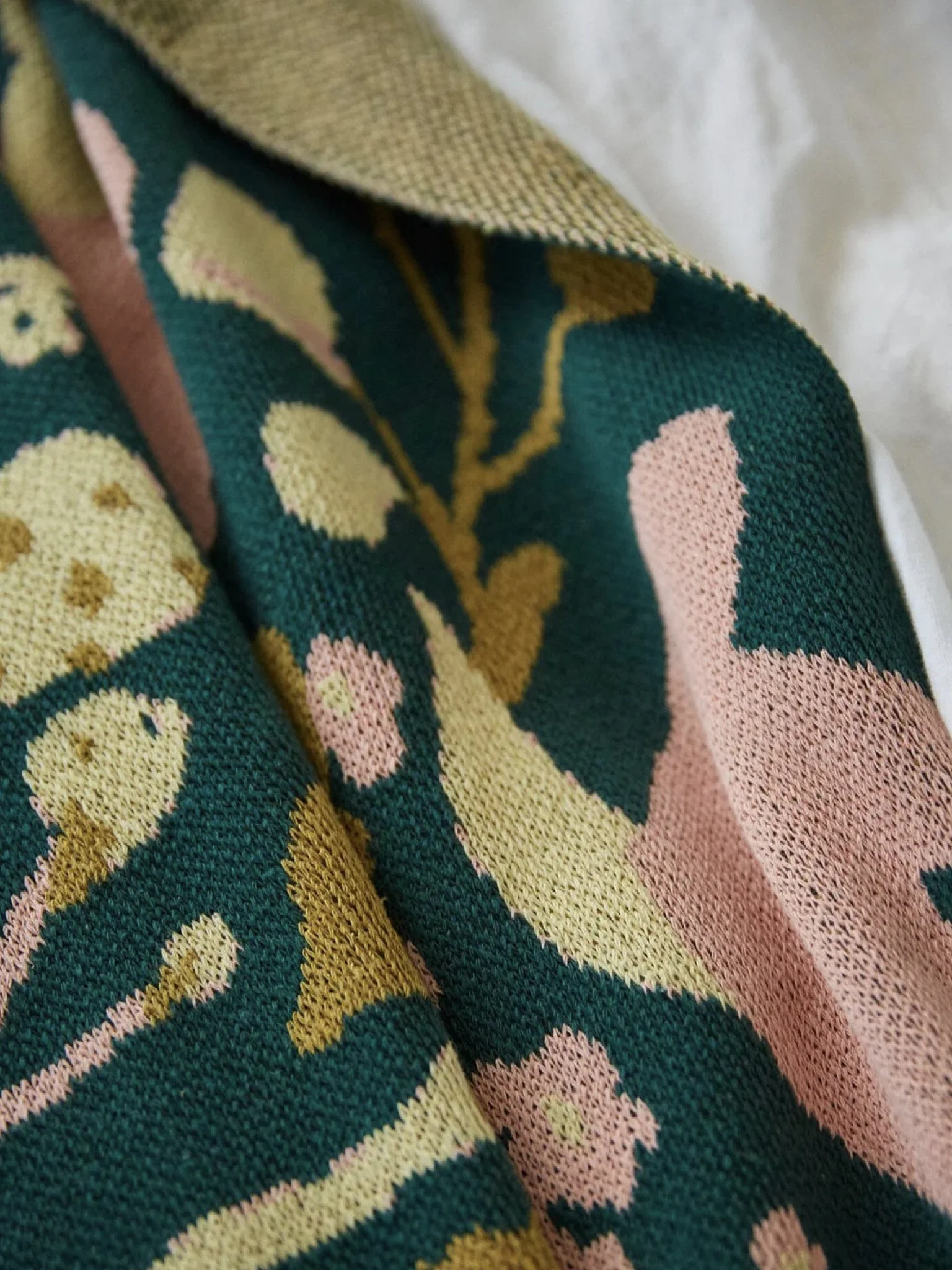 hillery sproatt fall 25.003.jpeg