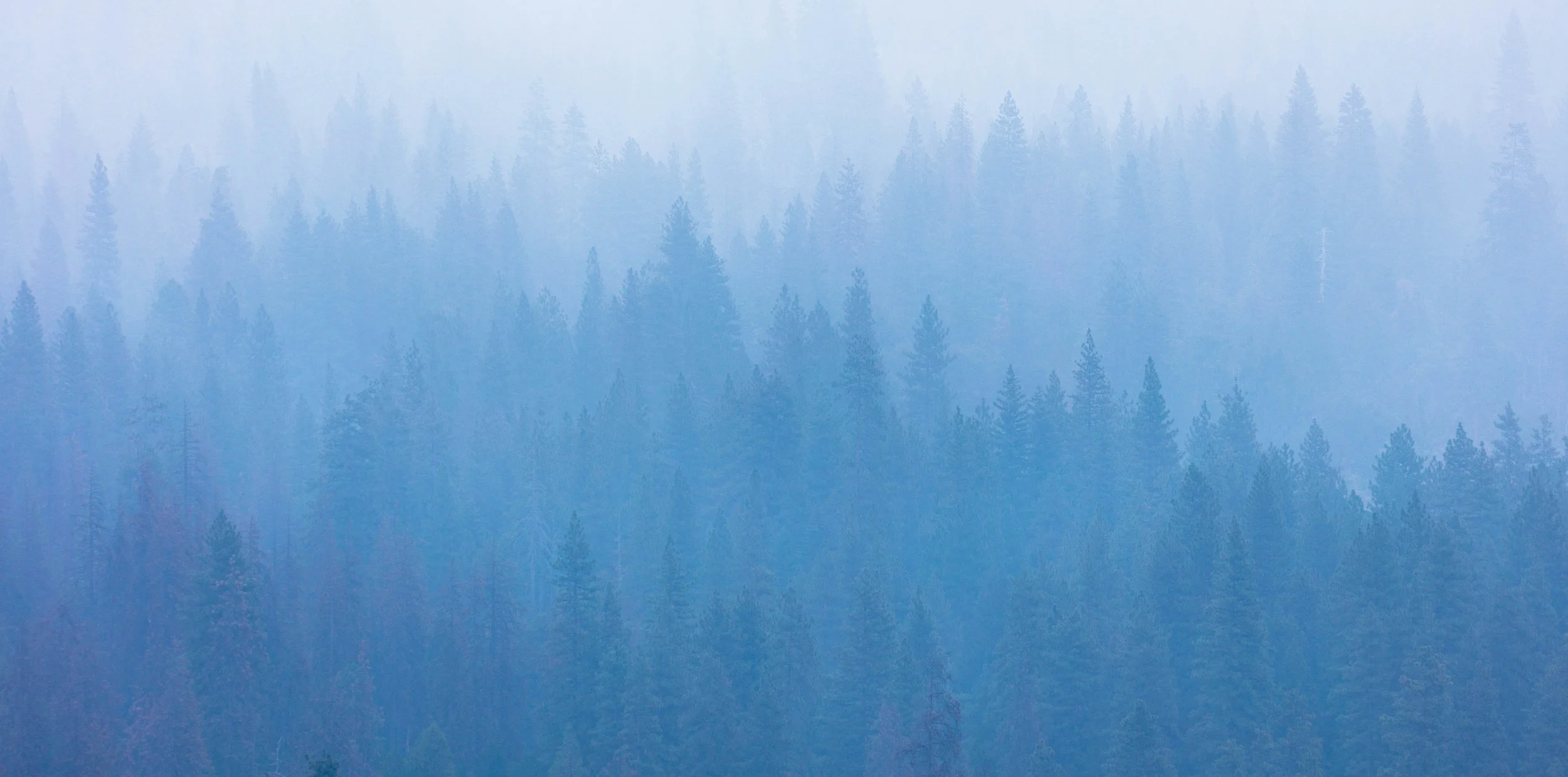 Yosemite Valley.jpg