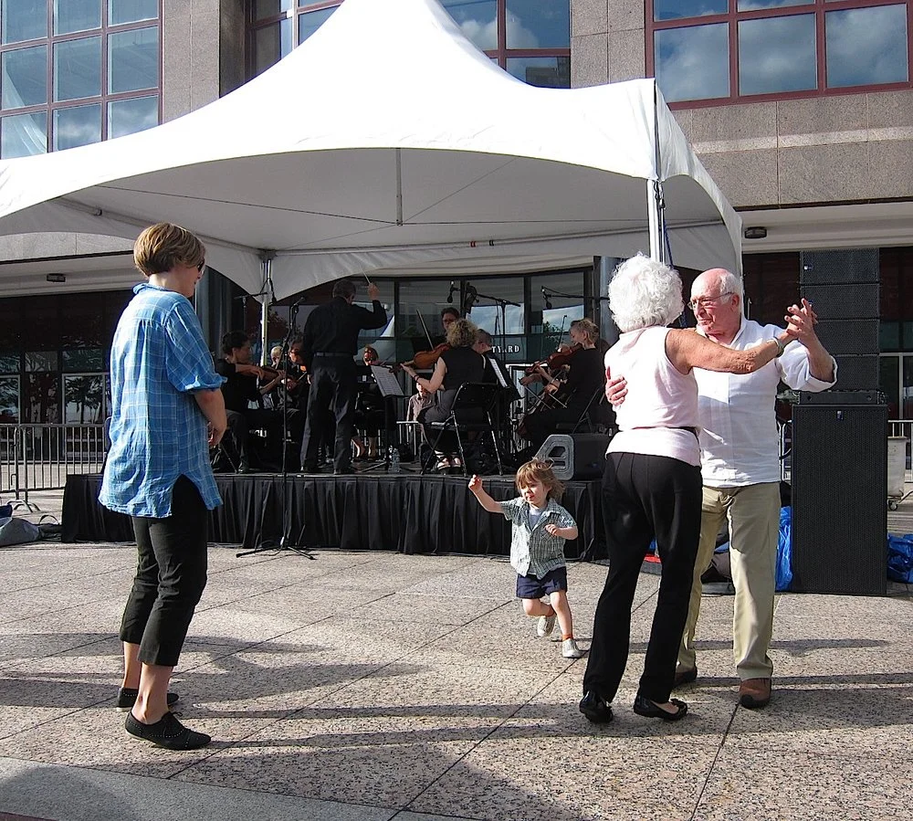 Strings on Hudson: Waltz!