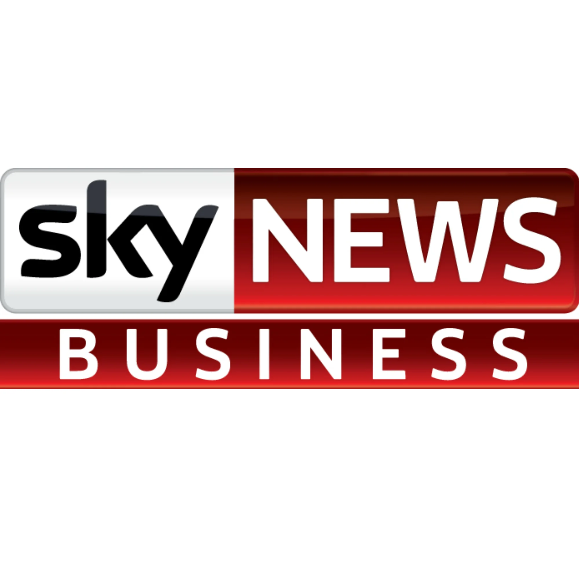 Sky BUsiness news.jpg