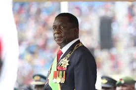Investing in Zimbabwe