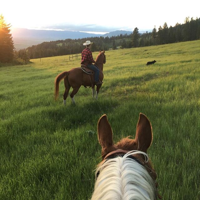 ⁠
Out checking on our cows, it doesn't get much better than this! Green grass, mountain pastures, & beautiful sunsets!⁣⁠
⁠⁣⁠
⁠⁣⁠
⁠⁣⁠
⁠⁣⁠
⁠⁣⁠
⁠⁣⁠
⁠⁣⁠
⁠⁣⁠
⁠⁣⁠
⁠⁣⁠
⁠⁣⁠
#beefbox #grassfedbeef #grassfed #sustainable #paleodiet #ketodiet #redmeat #healthyl