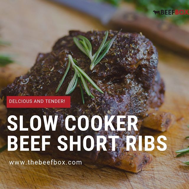 Delicious slow cooker beef short ribs the whole family will enjoy!! 🥩😋 Use the link in our bio to get the recipe!
.
.
.
.
.
#slowcookerrecipes #slowcookershortribs #shortribs #grassfedbeef #grassfed #ranchtotable #knowyourbeef #knowyourfood #beefbo