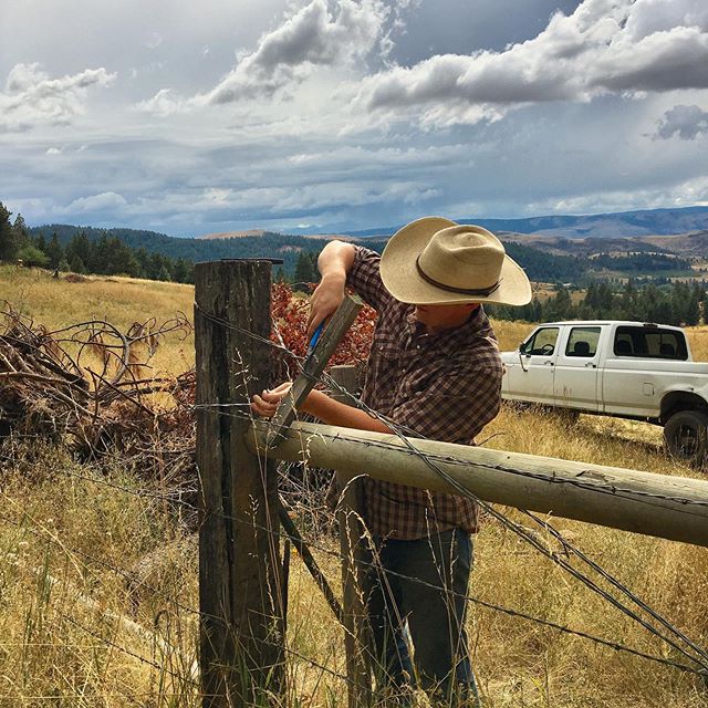 Working on fence before the storm gets here! 🌩 We&rsquo;re fixing some old fence and putting up some new to get this pasture ready for the heifers for fall. 🍂