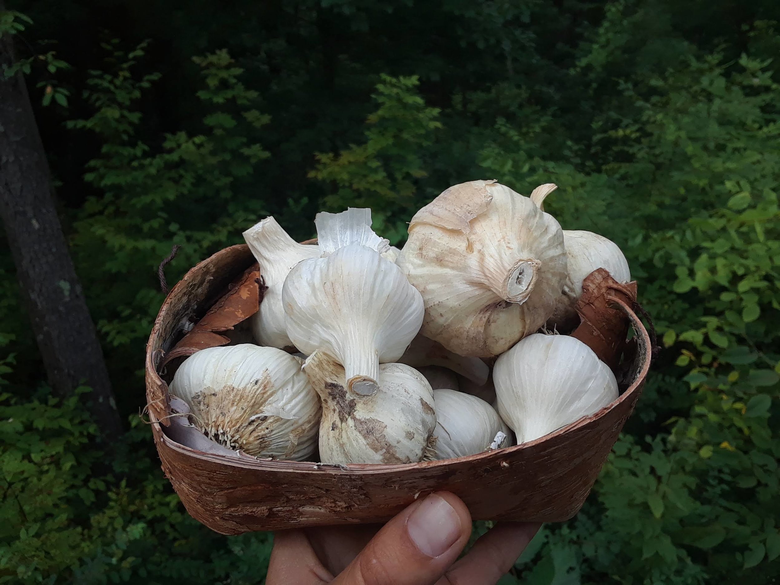20180817_100242.jpg