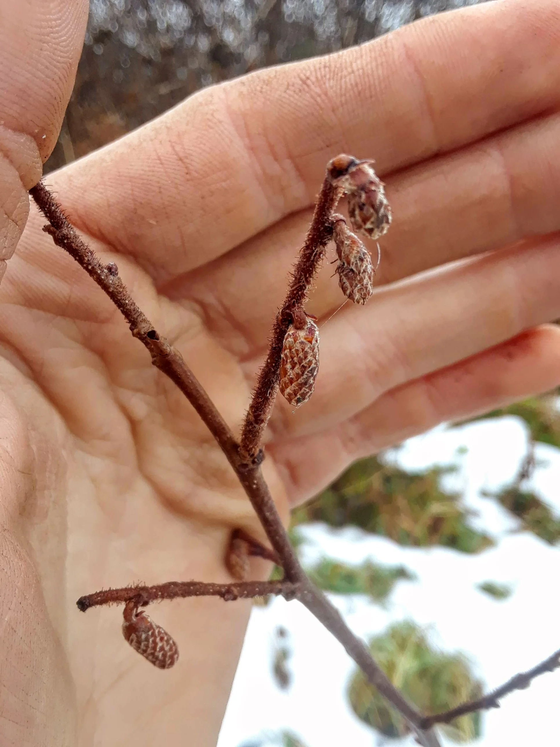 20181126_091505.jpg
